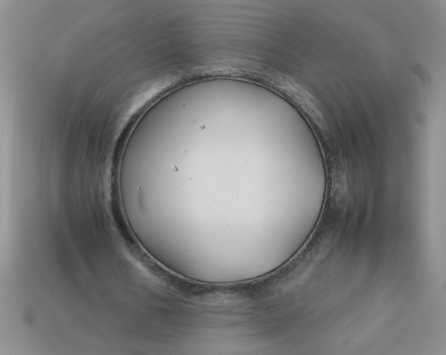 X0000113010578200909101819