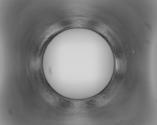 X0000113010579200909101819