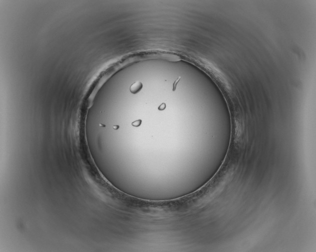 X0000113010580200909101819