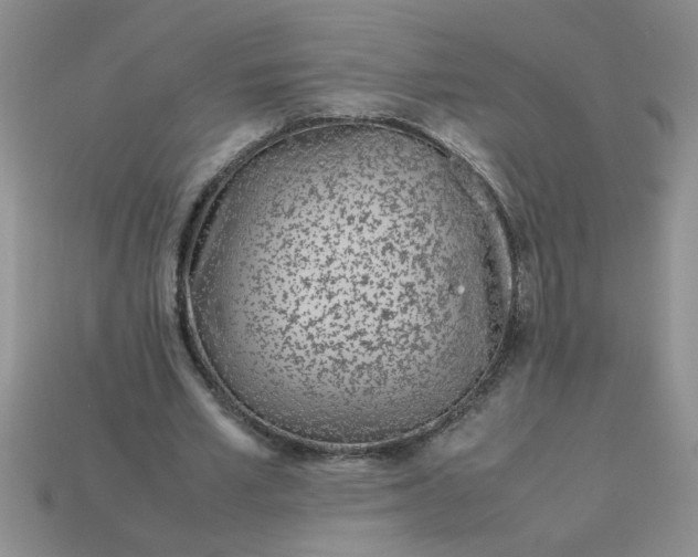 X0000113010581200909101819