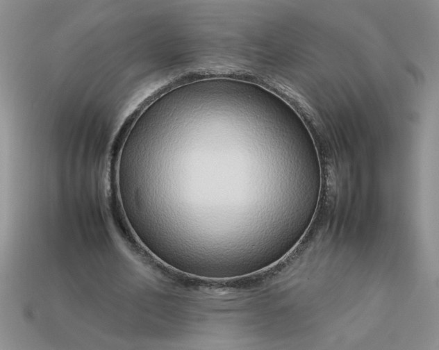 X0000113010582200909101819