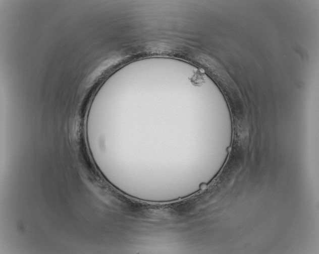 X0000113010583200909101819