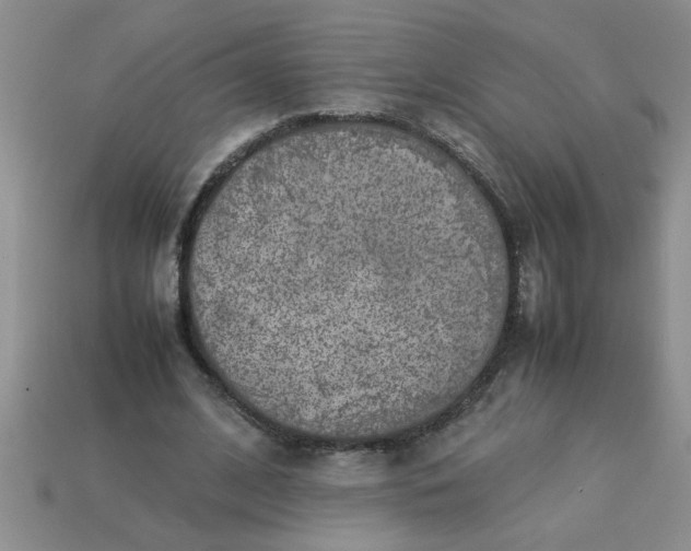 X0000113010584200909101819