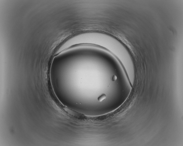 X0000113010585200909101819