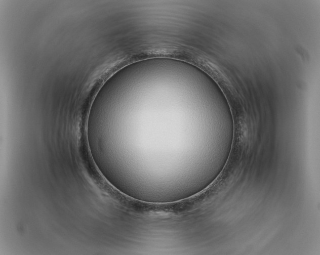 X0000113010586200909101819