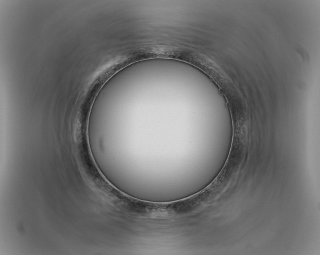 X0000113010587200909101819