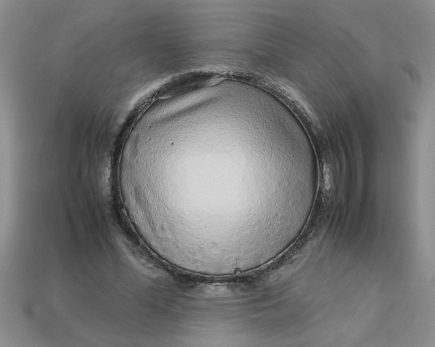 X0000113010588200909101819