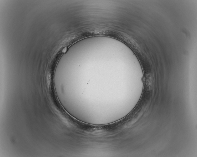 X0000113010589200909101819