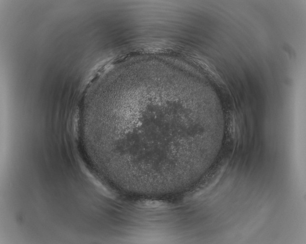 X0000113010590200909101819