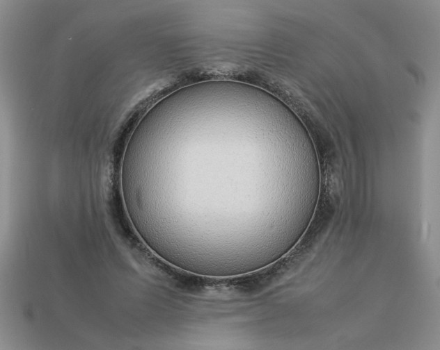 X0000113010591200909101819