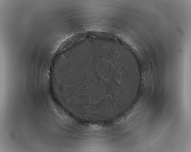 X0000113010592200909101819