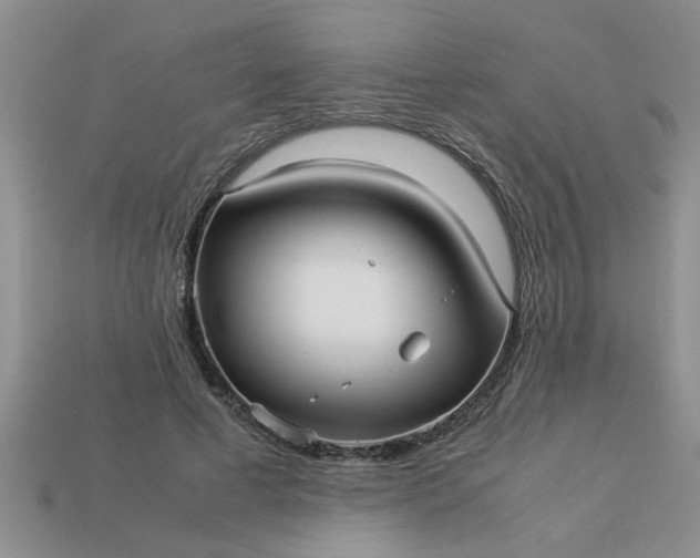 X0000113010593200909101819