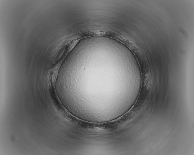 X0000113010594200909101819