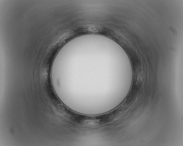 X0000113010595200909101819