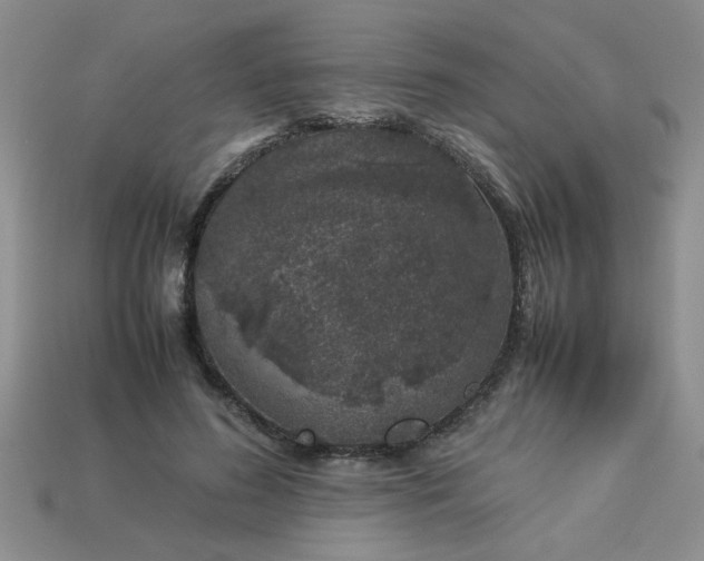 X0000113010596200909101819