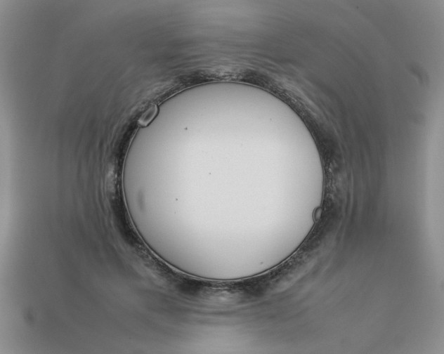 X0000113010597200909101819