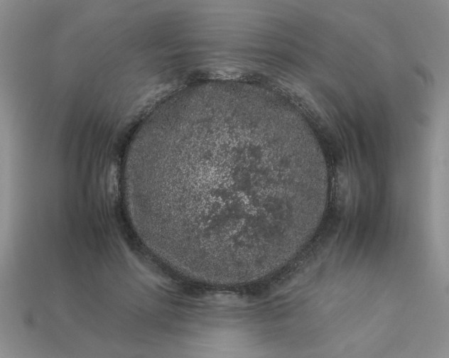 X0000113010598200909101819