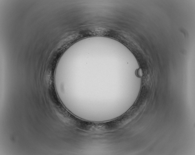 X0000113010599200909101819