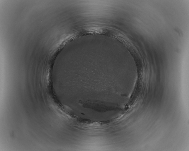 X0000113010600200909101819