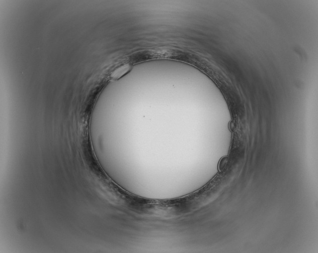 X0000113010601200909101819