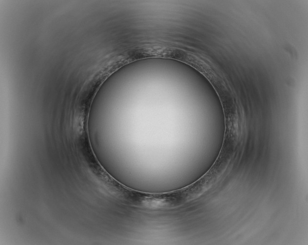 X0000113010602200909101819