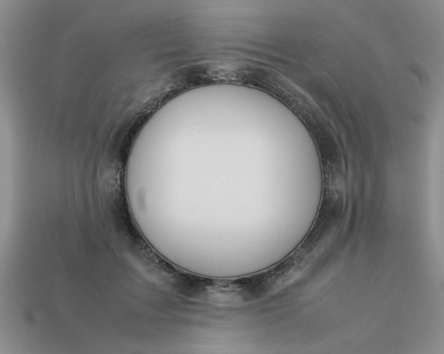 X0000113010603200909101819