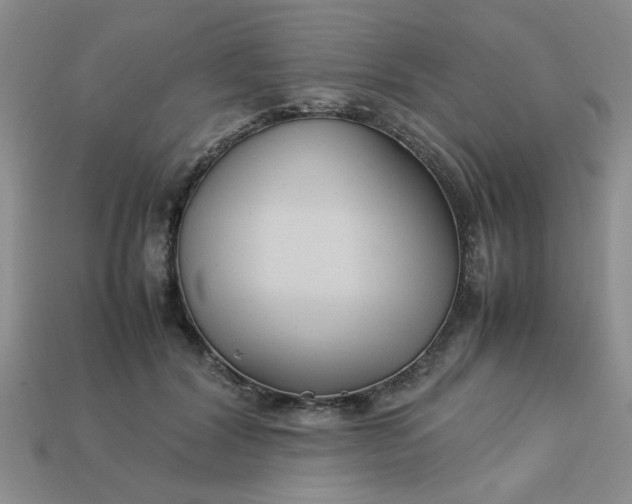 X0000113010604200909101819