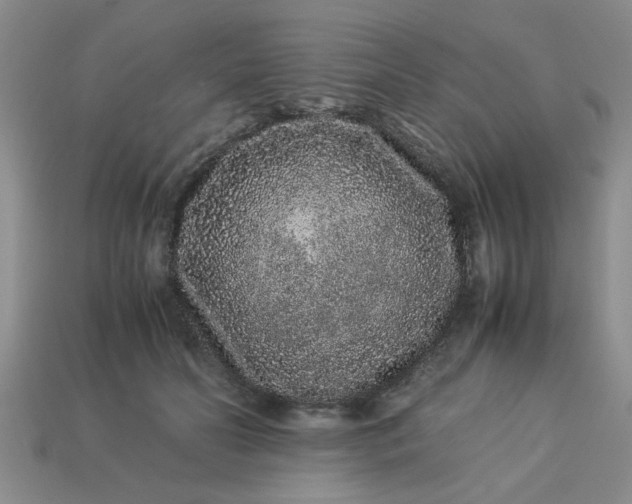 X0000113010606200909101819