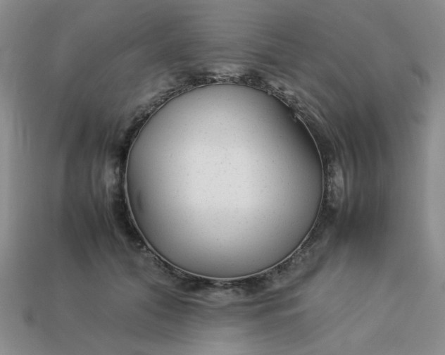 X0000113010608200909101819