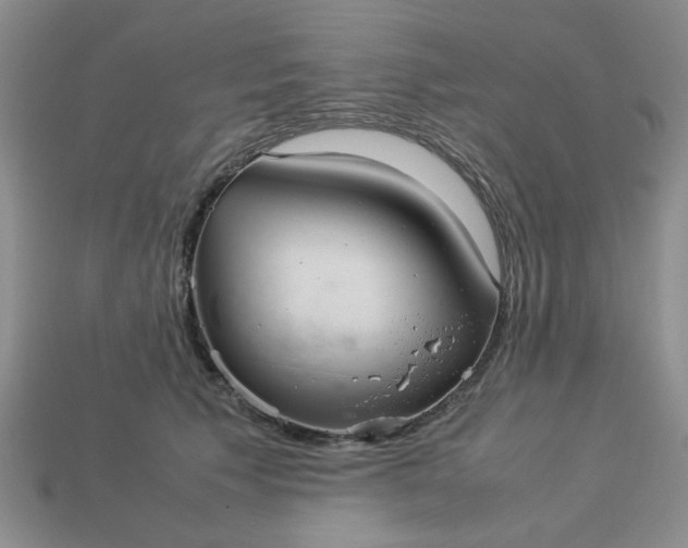 X0000113010609200909101819