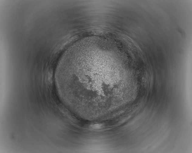 X0000113010610200909101819