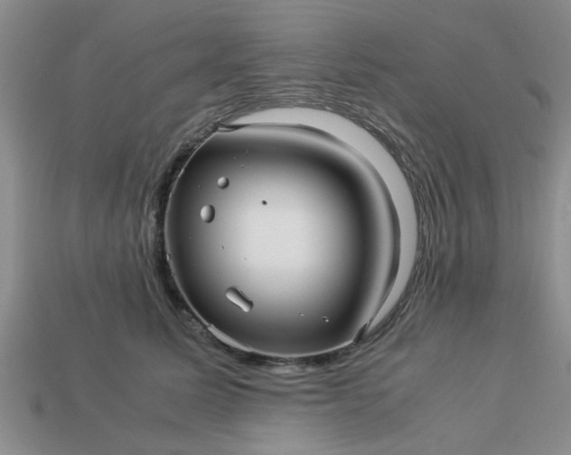 X0000113010611200909101819