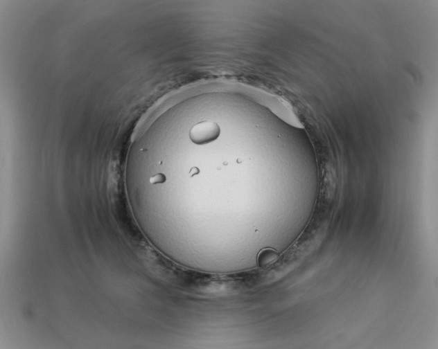 X0000113010612200909101819