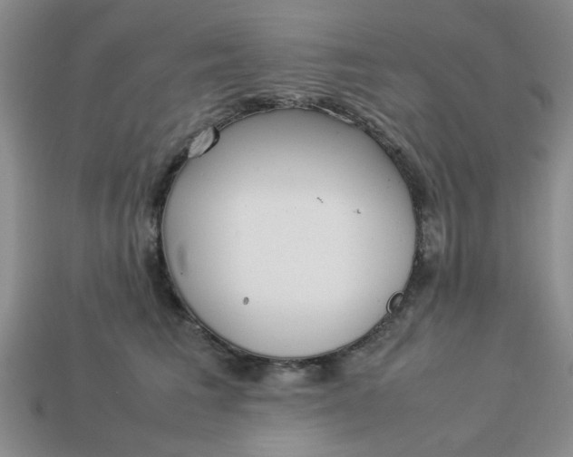 X0000113010613200909101819