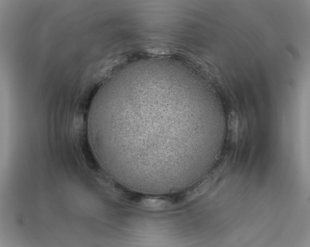 X0000113010614200909101819