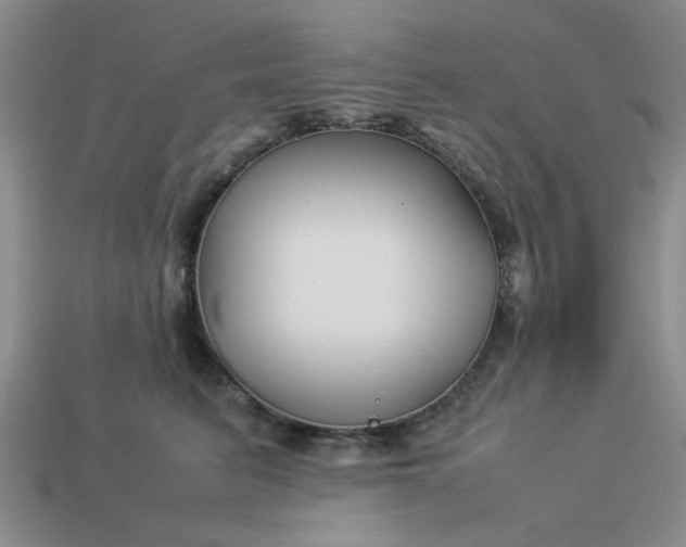 X0000113010615200909101819