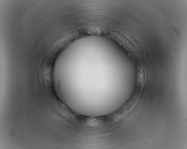 X0000113010616200909101819