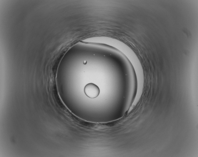 X0000113010617200909101819