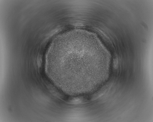 X0000113010618200909101819