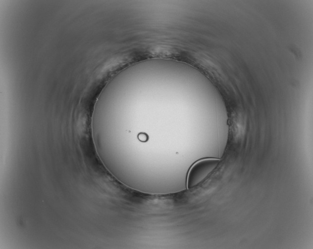 X0000113010619200909101819