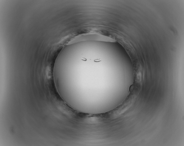 X0000113010620200909101818