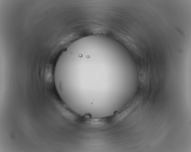 X0000113010622200909101818