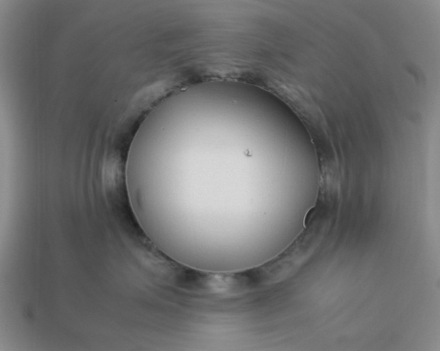 X0000113010623200909101818