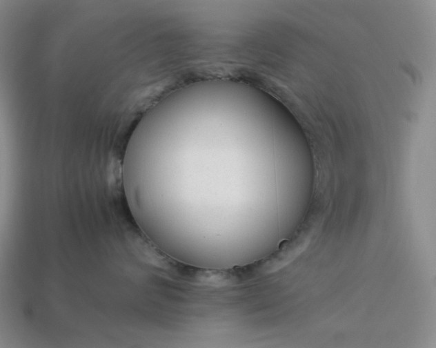 X0000113010624200909101818