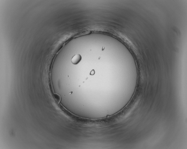 X0000113010625200909101818