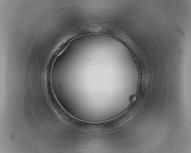 X0000113010626200909101818