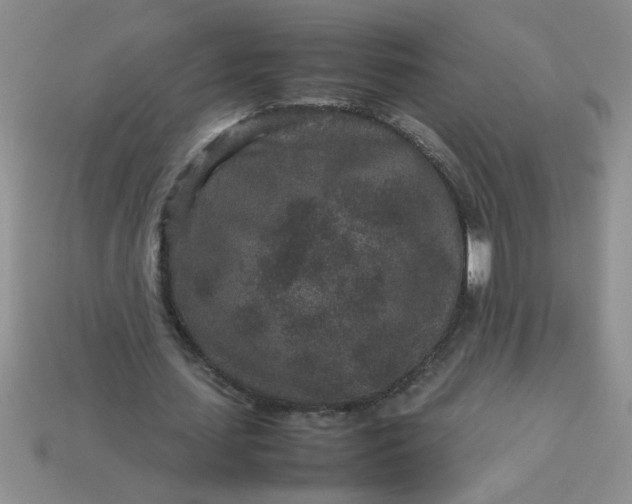 X0000113010627200909101818