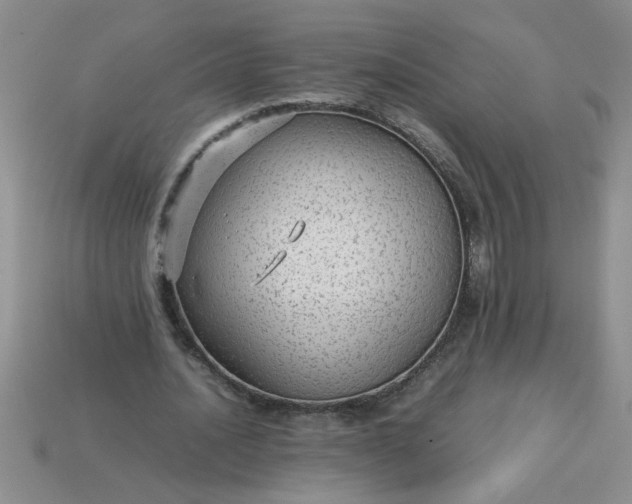 X0000113010628200909101818