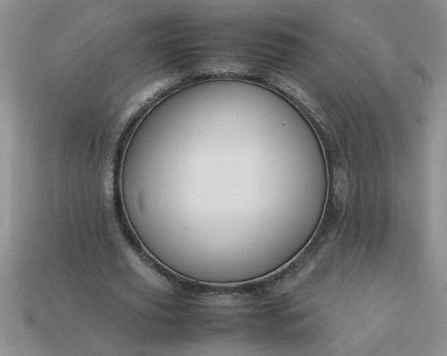 X0000113010629200909101818