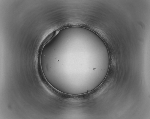 X0000113010630200909101818